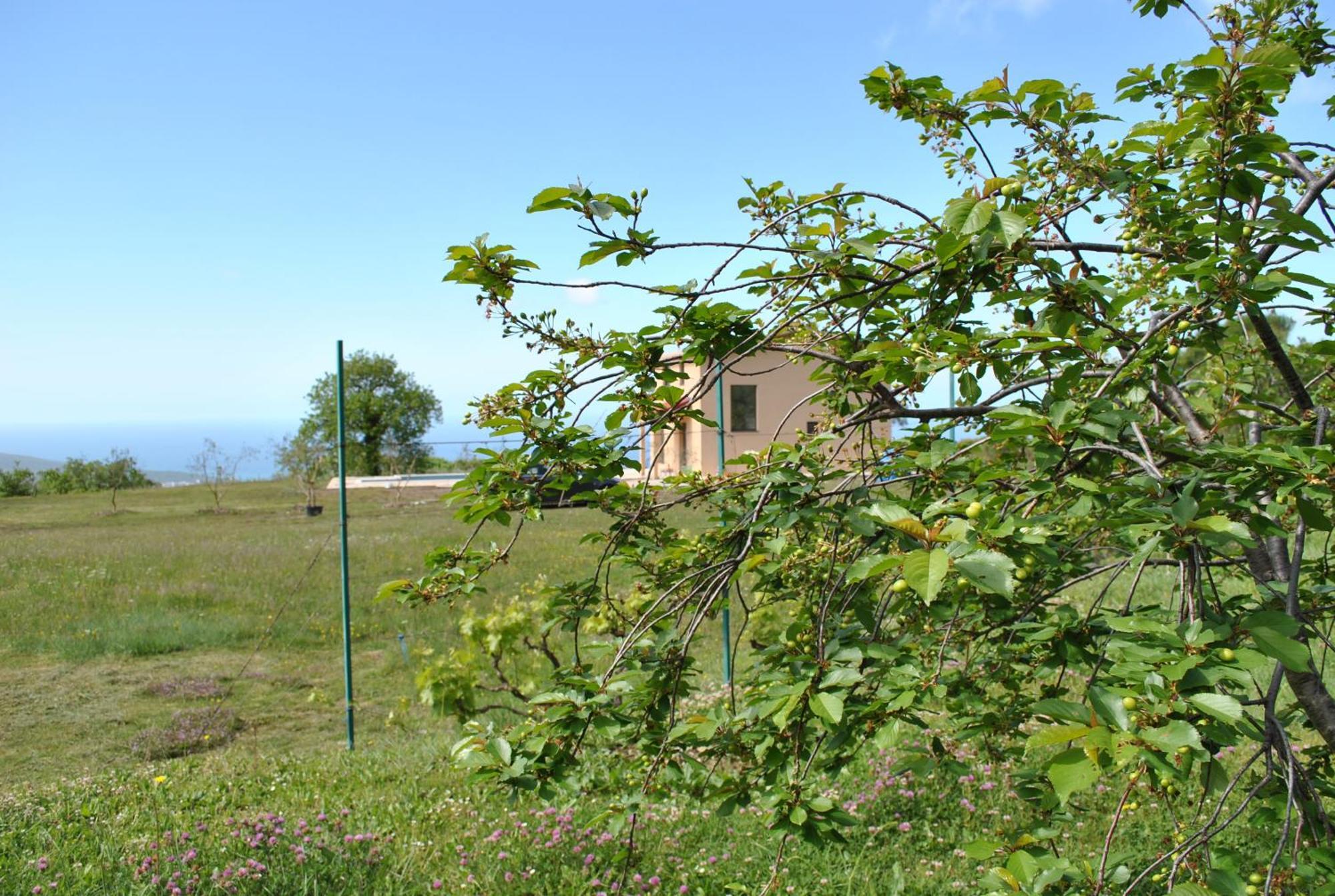 Country Home Dolac Bar Exterior foto